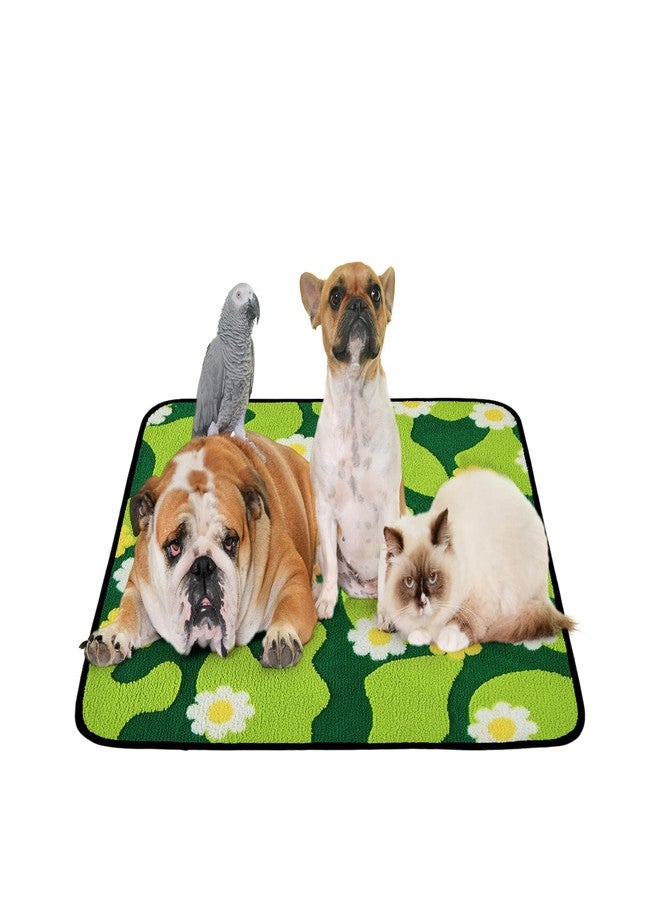 Qeils Reusable Puppy Pads for Small Dogs, Washable Pee Pads with Non-Slip , Absorbent Leakproof Mat for Crates, Playpens, Pet Beds & Whelping, Indoor Potty Training Grass Green, 36"x41", 2 Pack - Image 1